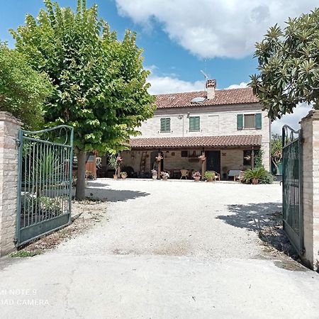 Casa vacanza Flora Grottazzolina Esterno foto