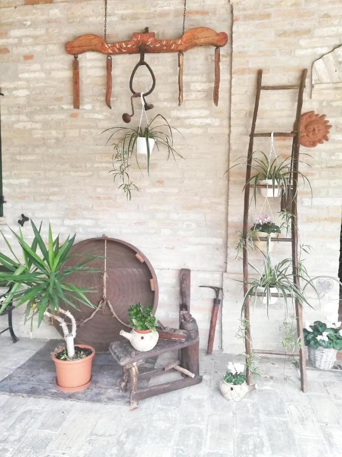 Casa vacanza Flora Grottazzolina Esterno foto