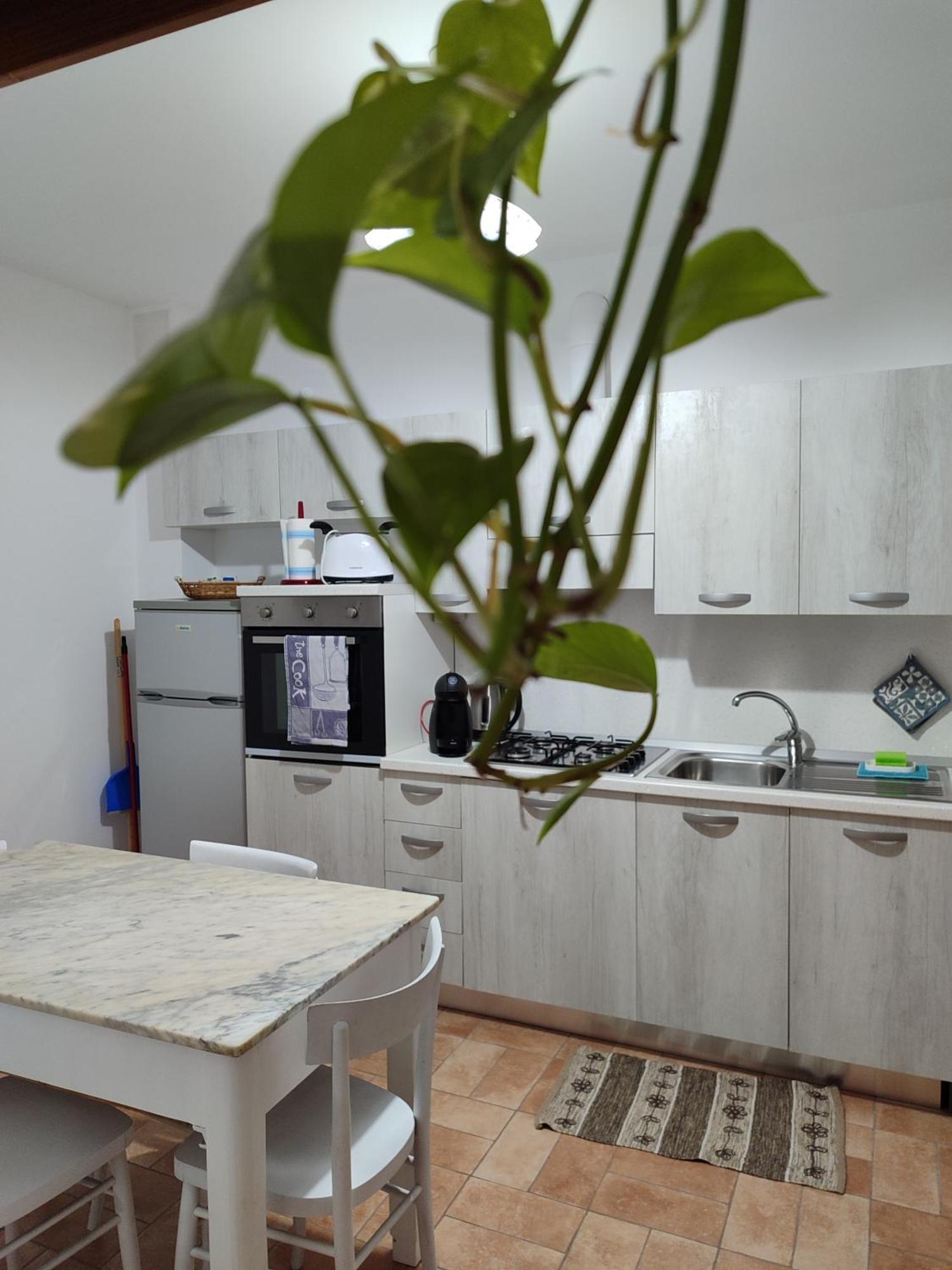 Casa vacanza Flora Grottazzolina Esterno foto